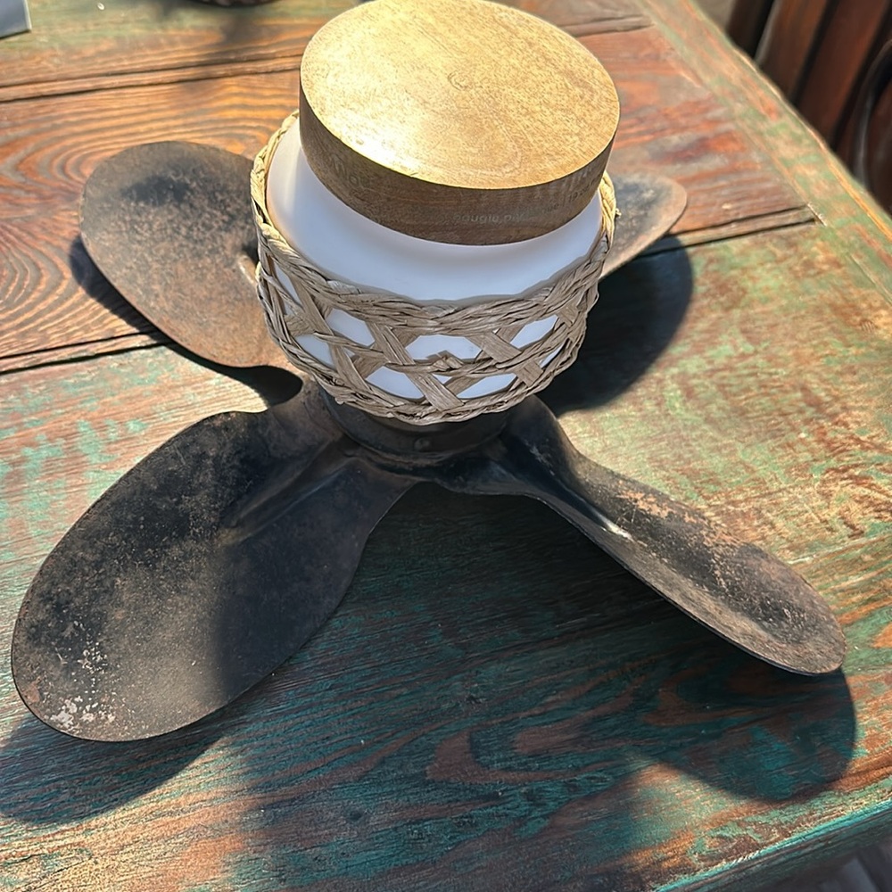 Fan Blade - Picture 13 of 13